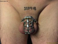 IMG_0104