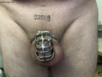 IMG_4594