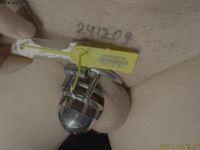 241209-seal-0032182