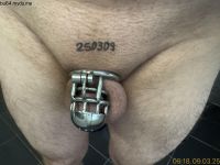 IMG_2146