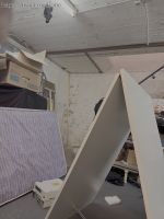 251012-spanish-donkey-5