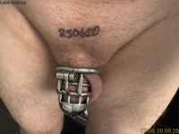 IMG_3384